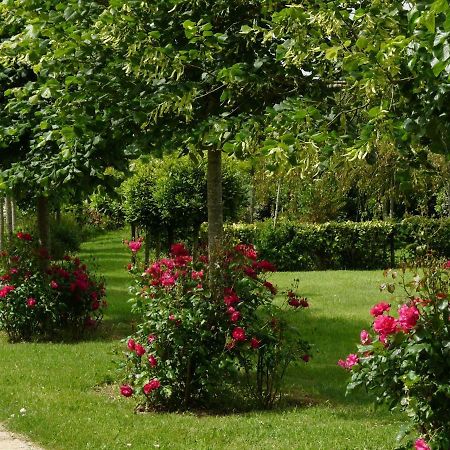 Gite Le Logis - Manoir Le Plessix Madeuc Corseul Exteriér fotografie
